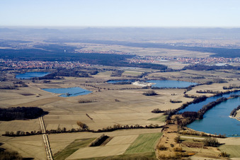 Vue aérienne de Lacs de gravier entre Neupotz et Rheinzabern à Rheinzabern dans le département Rhénanie-Palatinat, Allemagne