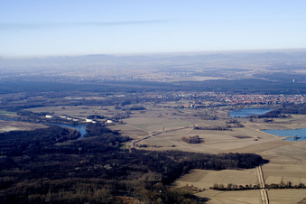 Vue aérienne de Prairies du Rhin à l'ouest de Jockgrim à Jockgrim dans le département Rhénanie-Palatinat, Allemagne