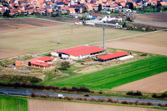 Ferme avicole et ferme d'œufs à Erlenbach bei Kandel dans le département Rhénanie-Palatinat, Allemagne vue du ciel