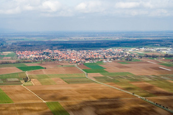 Vue aérienne de Ville du sud-ouest à Offenbach an der Queich dans le département Rhénanie-Palatinat, Allemagne