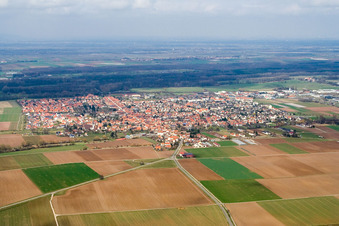 Vue aérienne de Ville du sud-ouest à Offenbach an der Queich dans le département Rhénanie-Palatinat, Allemagne