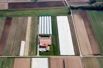 Vue aérienne de Aussiedlerhof Steegmüller à Offenbach an der Queich dans le département Rhénanie-Palatinat, Allemagne