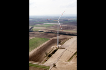 Vue aérienne de Éoliennes à Ottersheim bei Landau dans le département Rhénanie-Palatinat, Allemagne