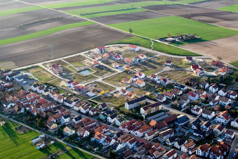 Vue aérienne de Sur le sentier élevé du sud à Kandel dans le département Rhénanie-Palatinat, Allemagne