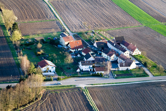Welschhof à Freckenfeld dans le département Rhénanie-Palatinat, Allemagne depuis l'avion