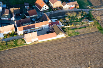 Image drone de Welschhof à Freckenfeld dans le département Rhénanie-Palatinat, Allemagne