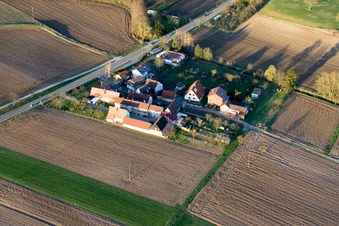 Welschhof à Freckenfeld dans le département Rhénanie-Palatinat, Allemagne d'un drone