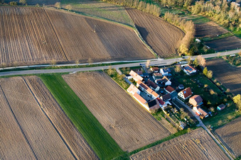 Welschhof à Freckenfeld dans le département Rhénanie-Palatinat, Allemagne vue d'en haut