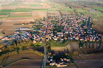 Champs agricoles et terres agricoles à Minfeld dans le département Rhénanie-Palatinat, Allemagne vue d'en haut