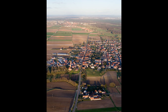 Vue aérienne de Vue du village depuis l'ouest à Minfeld dans le département Rhénanie-Palatinat, Allemagne