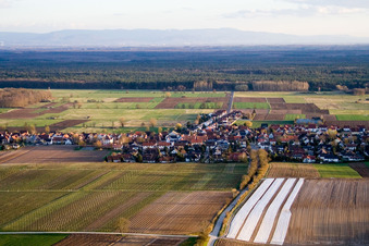Vue aérienne de Vue du village depuis le nord à Freckenfeld dans le département Rhénanie-Palatinat, Allemagne