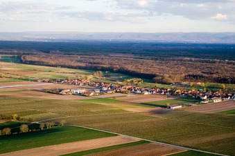 Vue aérienne de Vue du village depuis le nord-ouest à Freckenfeld dans le département Rhénanie-Palatinat, Allemagne