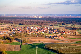Photographie aérienne de Vue du village depuis l'ouest à Minfeld dans le département Rhénanie-Palatinat, Allemagne