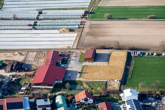 Écurie Eichenlaub à Herxheim bei Landau dans le département Rhénanie-Palatinat, Allemagne hors des airs