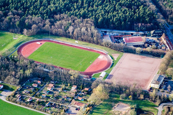 Vue aérienne de Ensemble d'installations sportives du stade FC Phönix Bellheim eV Franz-Hage à Bellheim dans le département Rhénanie-Palatinat, Allemagne