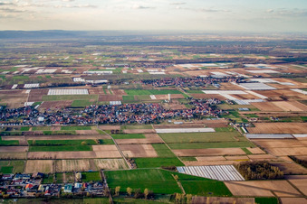 Vue aérienne de Vue de la ville depuis le sud à le quartier Niederlustadt in Lustadt dans le département Rhénanie-Palatinat, Allemagne