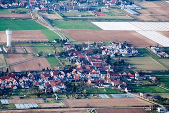 Vue aérienne de Champs agricoles et terres agricoles à le quartier Niederlustadt in Lustadt dans le département Rhénanie-Palatinat, Allemagne