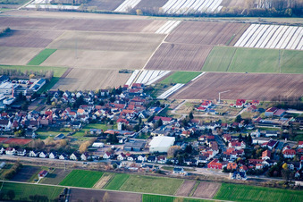 Photographie aérienne de Vue de la ville depuis le sud à le quartier Niederlustadt in Lustadt dans le département Rhénanie-Palatinat, Allemagne
