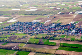 Vue oblique de Vue de la ville depuis le sud à le quartier Niederlustadt in Lustadt dans le département Rhénanie-Palatinat, Allemagne