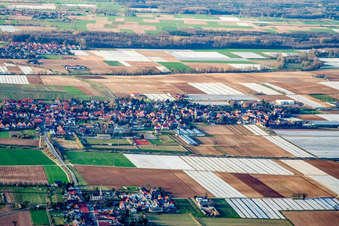 Vue aérienne de Vue de la ville depuis le sud à Weingarten dans le département Rhénanie-Palatinat, Allemagne
