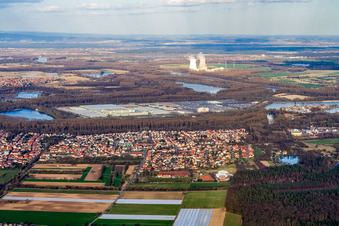 Vue aérienne de Vue de la ville depuis l'ouest à Lingenfeld dans le département Rhénanie-Palatinat, Allemagne