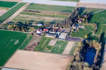 Vue aérienne de Ferme d'une ferme Écurie Spieß à Harthausen dans le département Rhénanie-Palatinat, Allemagne