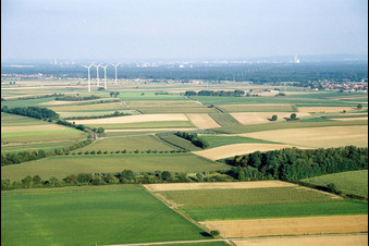 Vue aérienne de Éoliennes du parc éolien de Minfeldder à Minfeld dans le département Rhénanie-Palatinat, Allemagne
