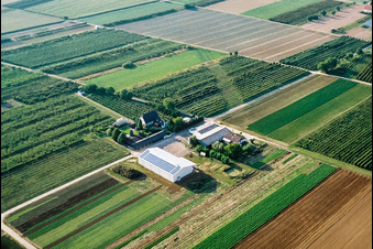 Jardin du fermier à Winden dans le département Rhénanie-Palatinat, Allemagne vue d'en haut