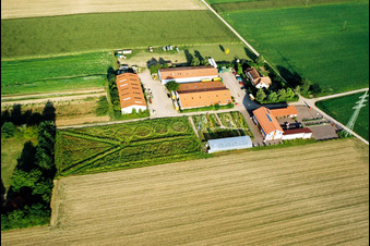 Vue d'oiseau de Schoßberghof à Minfeld dans le département Rhénanie-Palatinat, Allemagne