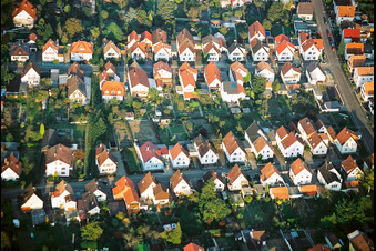 Vue aérienne de Birkenstraße Waldstr à Kandel dans le département Rhénanie-Palatinat, Allemagne