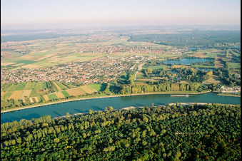 Vue aérienne de Rhin en face de Spire à Altlußheim dans le département Bade-Wurtemberg, Allemagne