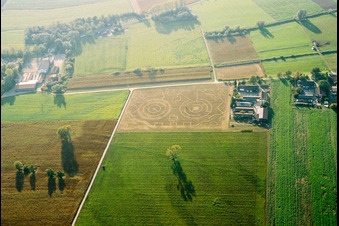 Vue aérienne de Labyrinthe de maïs récolté dans un champ à Hockenheim dans le département Bade-Wurtemberg, Allemagne