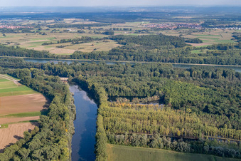 Vue aérienne de Vieux Rhin / Michelsbach à le quartier Sondernheim in Germersheim dans le département Rhénanie-Palatinat, Allemagne