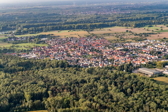 Quartier Rheinsheim in Philippsburg dans le département Bade-Wurtemberg, Allemagne du point de vue du drone