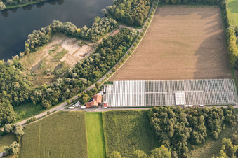 Vue aérienne de Serres à Brandgraben à le quartier Sondernheim in Germersheim dans le département Rhénanie-Palatinat, Allemagne