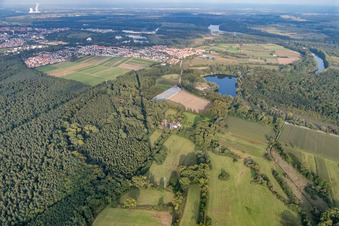 Vue aérienne de Aussiedlerhof en bordure de forêt à Bellheim dans le département Rhénanie-Palatinat, Allemagne