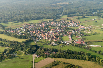 Vue aérienne de Champs agricoles et terres agricoles à Forstfeld dans le département Bas Rhin, France