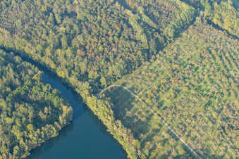 Vue aérienne de Canal latéral du Rhin à le quartier Freistett in Rheinau dans le département Bade-Wurtemberg, Allemagne