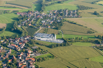 Photographie aérienne de Ruhsi GmbH & Co. KG à le quartier Rheinbischofsheim in Rheinau dans le département Bade-Wurtemberg, Allemagne
