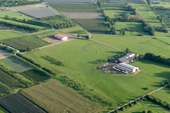 Vue aérienne de Quartier Erlach in Renchen dans le département Bade-Wurtemberg, Allemagne