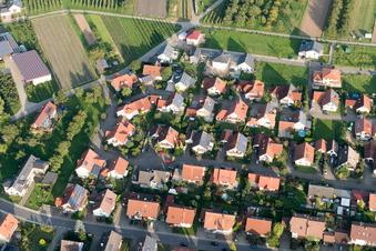 Vue aérienne de Rue Zöllerhöf à le quartier Erlach in Renchen dans le département Bade-Wurtemberg, Allemagne
