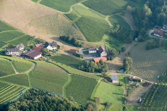 Vue aérienne de À Eckenberg à Oberkirch dans le département Bade-Wurtemberg, Allemagne