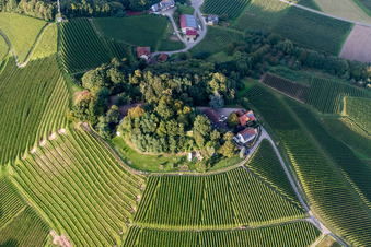 Vue aérienne de Paysage viticole des régions viticoles à Oberkirch dans le département Bade-Wurtemberg, Allemagne