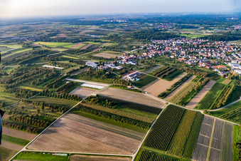Photographie aérienne de Quartier Zusenhofen in Oberkirch dans le département Bade-Wurtemberg, Allemagne