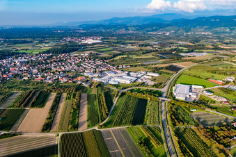 Vue aérienne de Service de sérigraphie Weiler à le quartier Zusenhofen in Oberkirch dans le département Bade-Wurtemberg, Allemagne