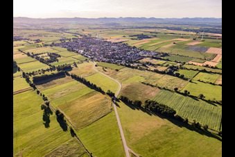 Vue oblique de Vue du village depuis le sud-est à Minfeld dans le département Rhénanie-Palatinat, Allemagne