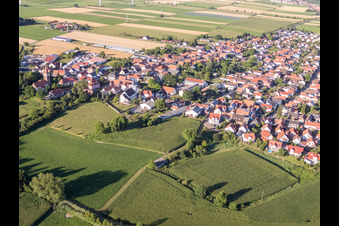Vue oblique de Dans le jardin du château à Minfeld dans le département Rhénanie-Palatinat, Allemagne