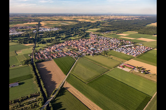 Vue de la ville depuis le sud-ouest à Steinweiler dans le département Rhénanie-Palatinat, Allemagne vue d'en haut