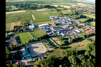 Quartier Billigheim in Billigheim-Ingenheim dans le département Rhénanie-Palatinat, Allemagne vue du ciel