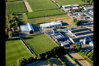 Image drone de Billigheim-Ingenheim dans le département Rhénanie-Palatinat, Allemagne